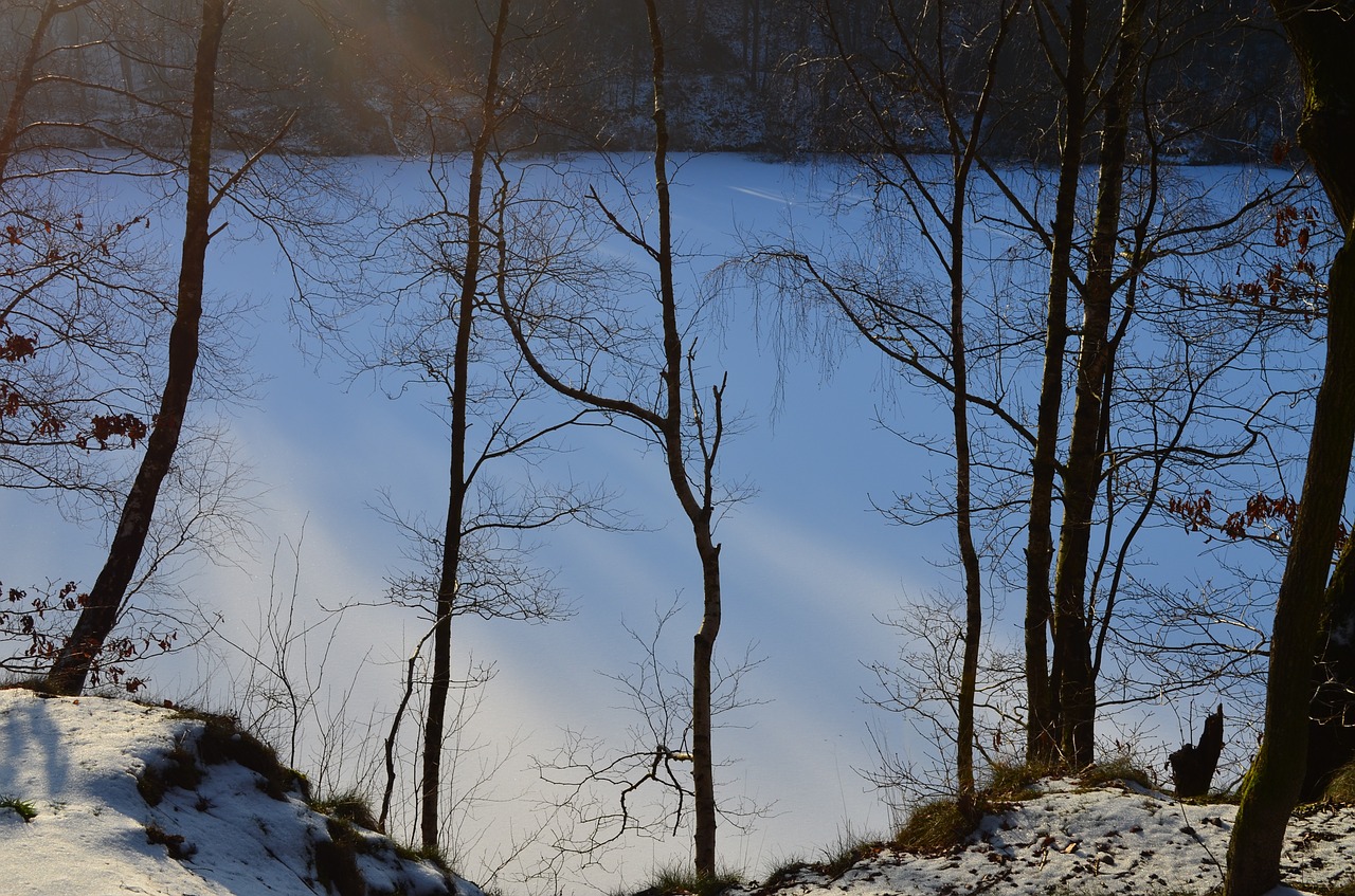 wintry geforener lake winter forest free photo