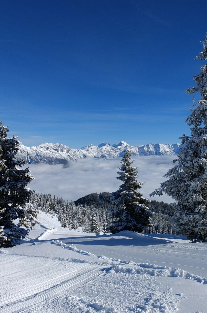 wintry leogang winter dream free photo