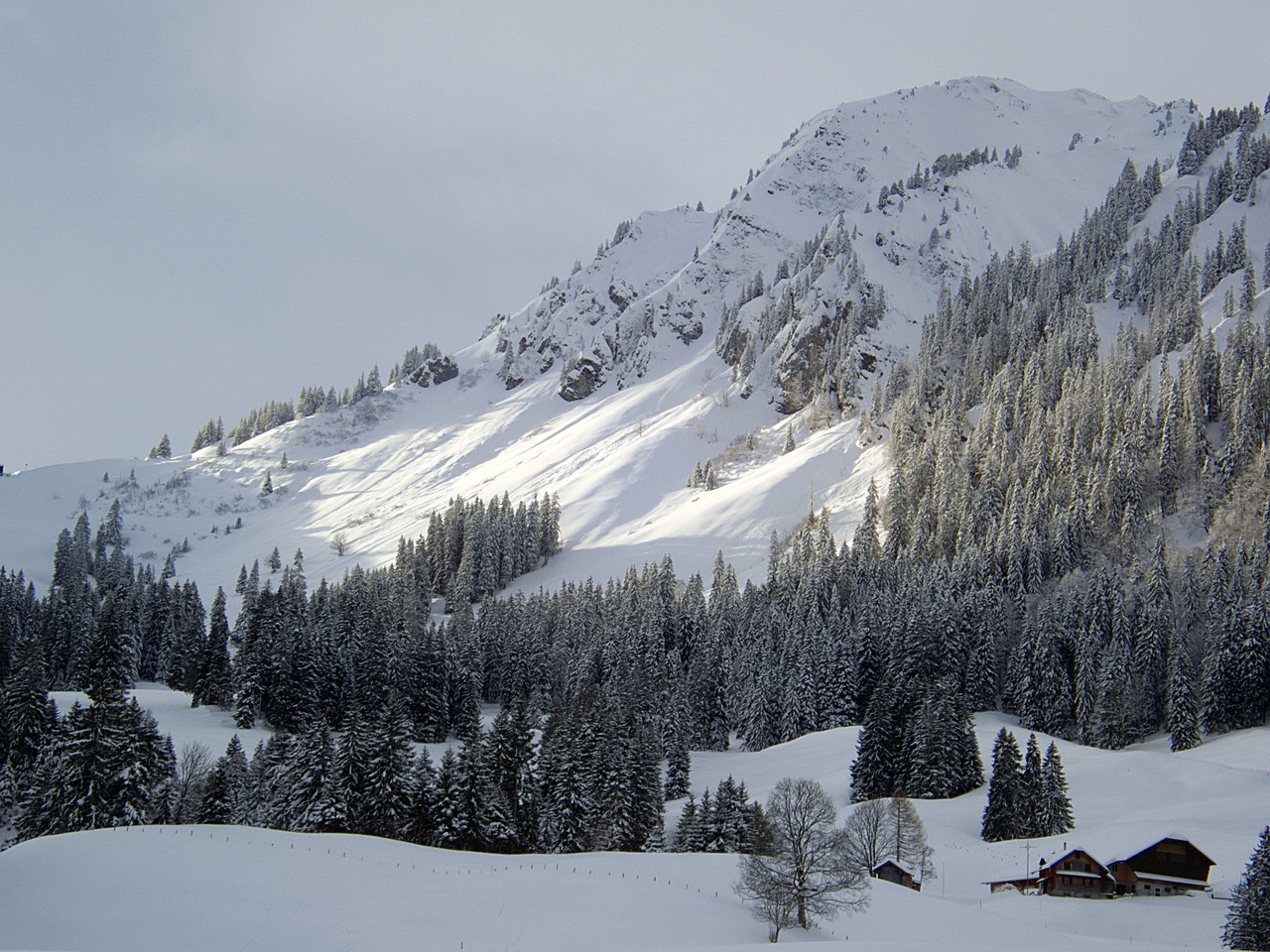 wintry mountain switzerland free photo