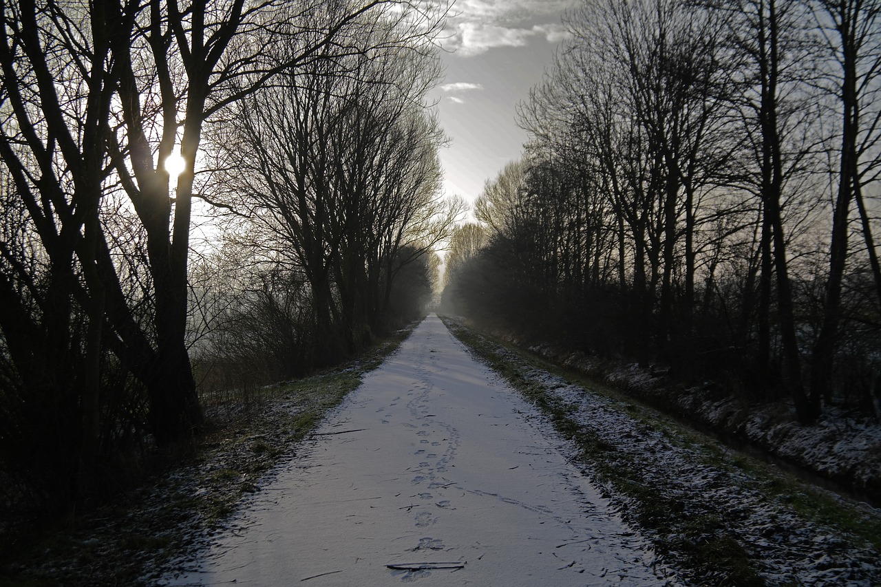 wintry  northern germany  close to bremen free photo