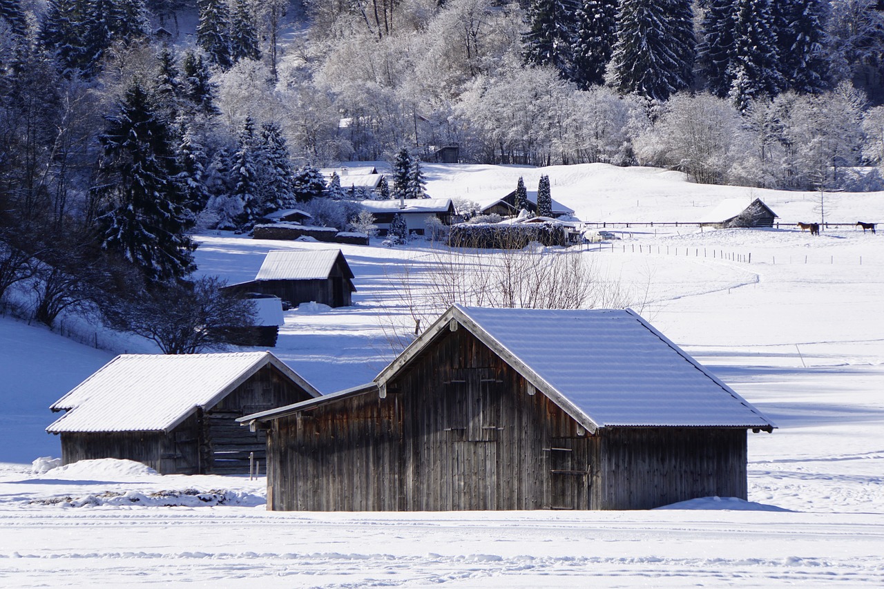 wintry  winter  snow free photo