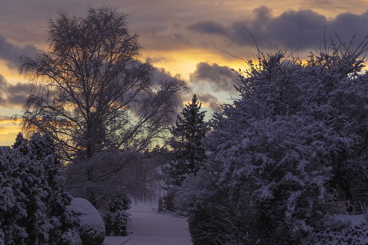 wintry  grenchen  snow free photo