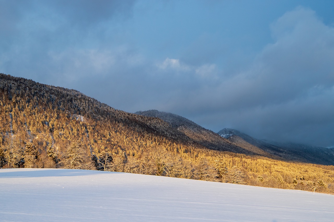 wintry  hill  jura free photo