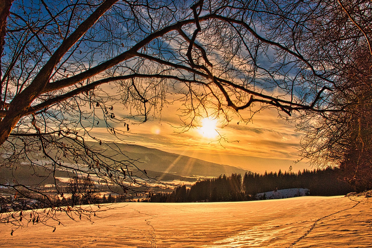 wintry  sunset  snow free photo