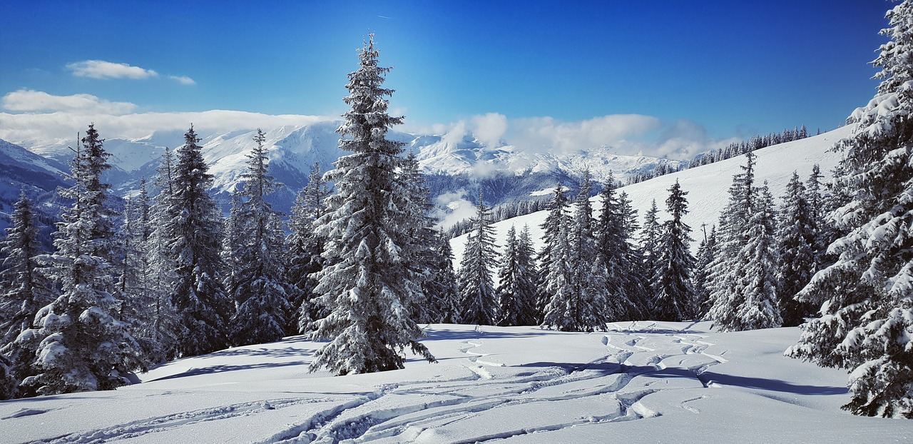 wintry  skiing  alpine free photo
