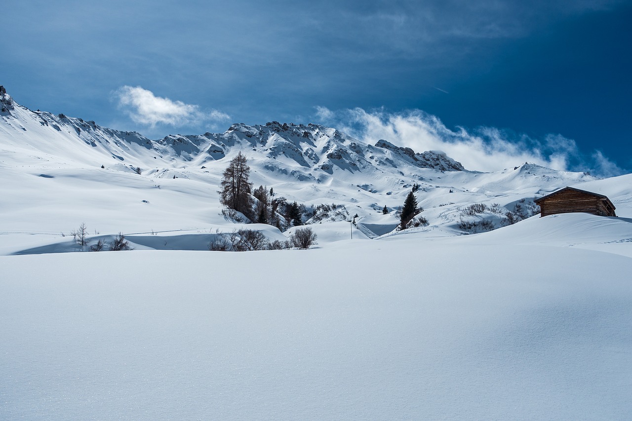 wintry  winter  mountain winter free photo