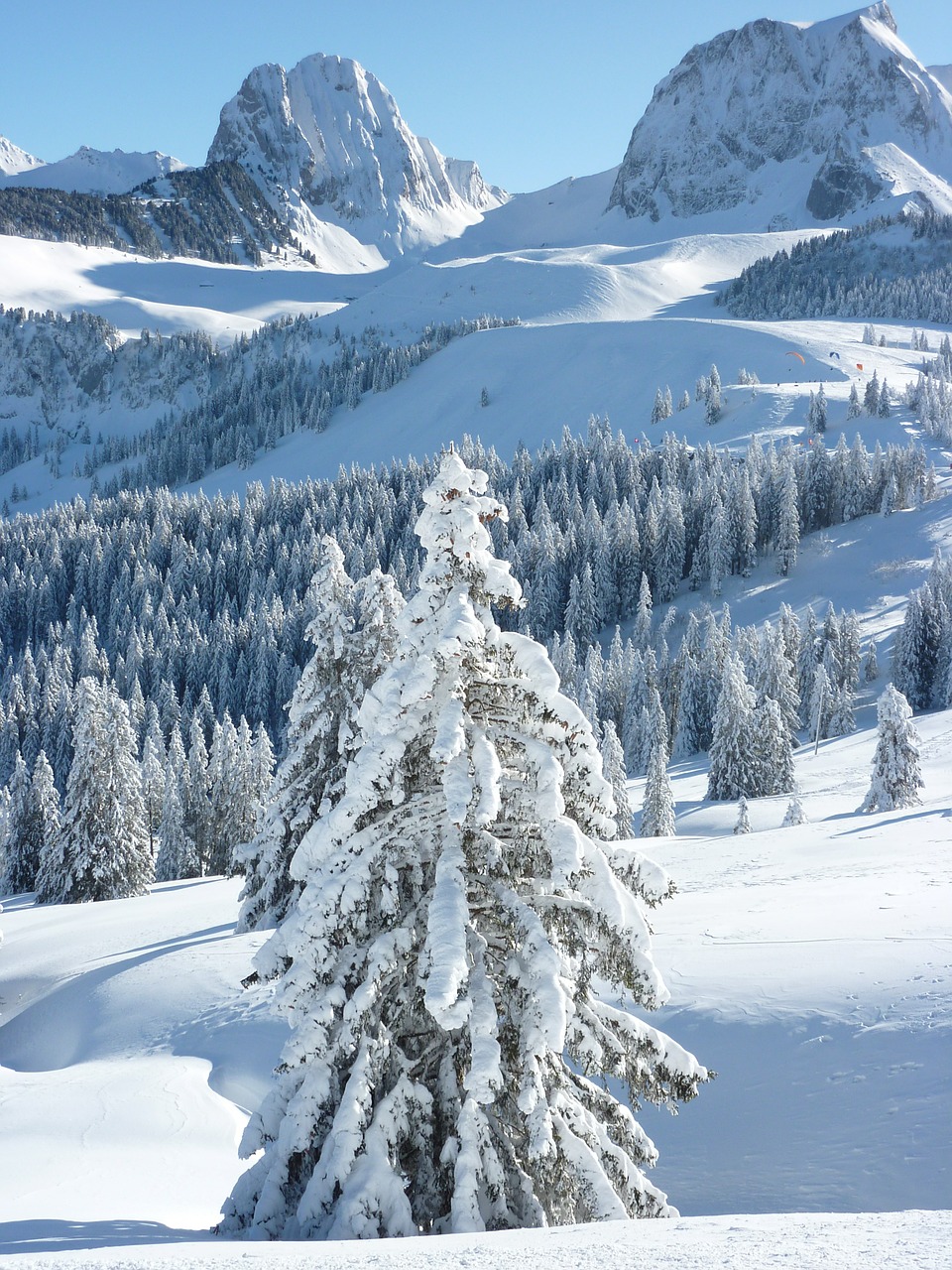 wintry mountains winter free photo