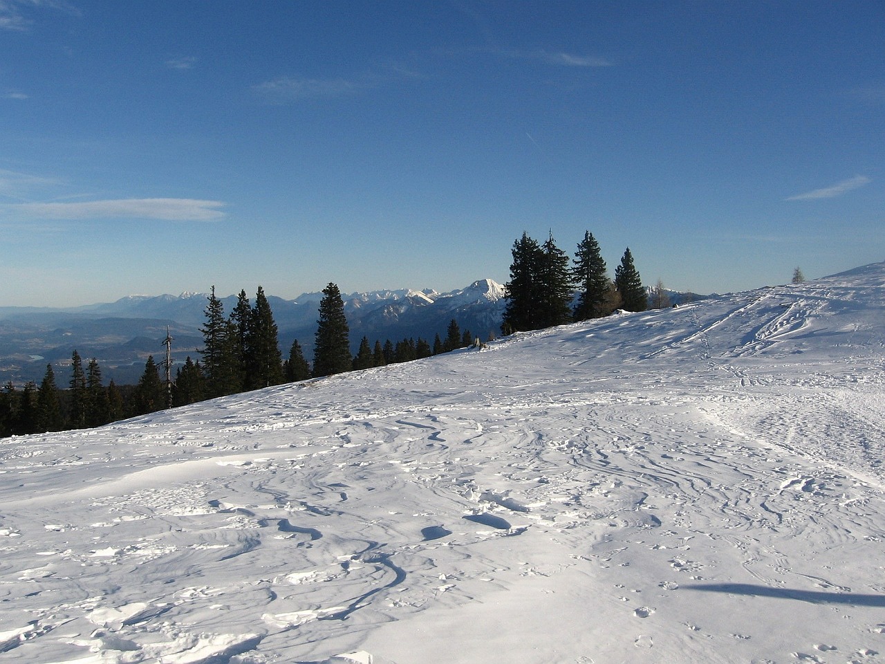 wintry winter forest snow free photo