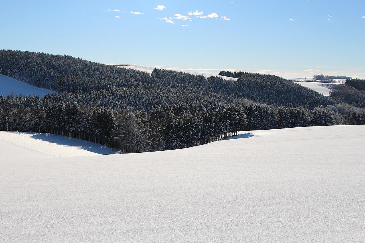 wintry winter mood snow landscape free photo