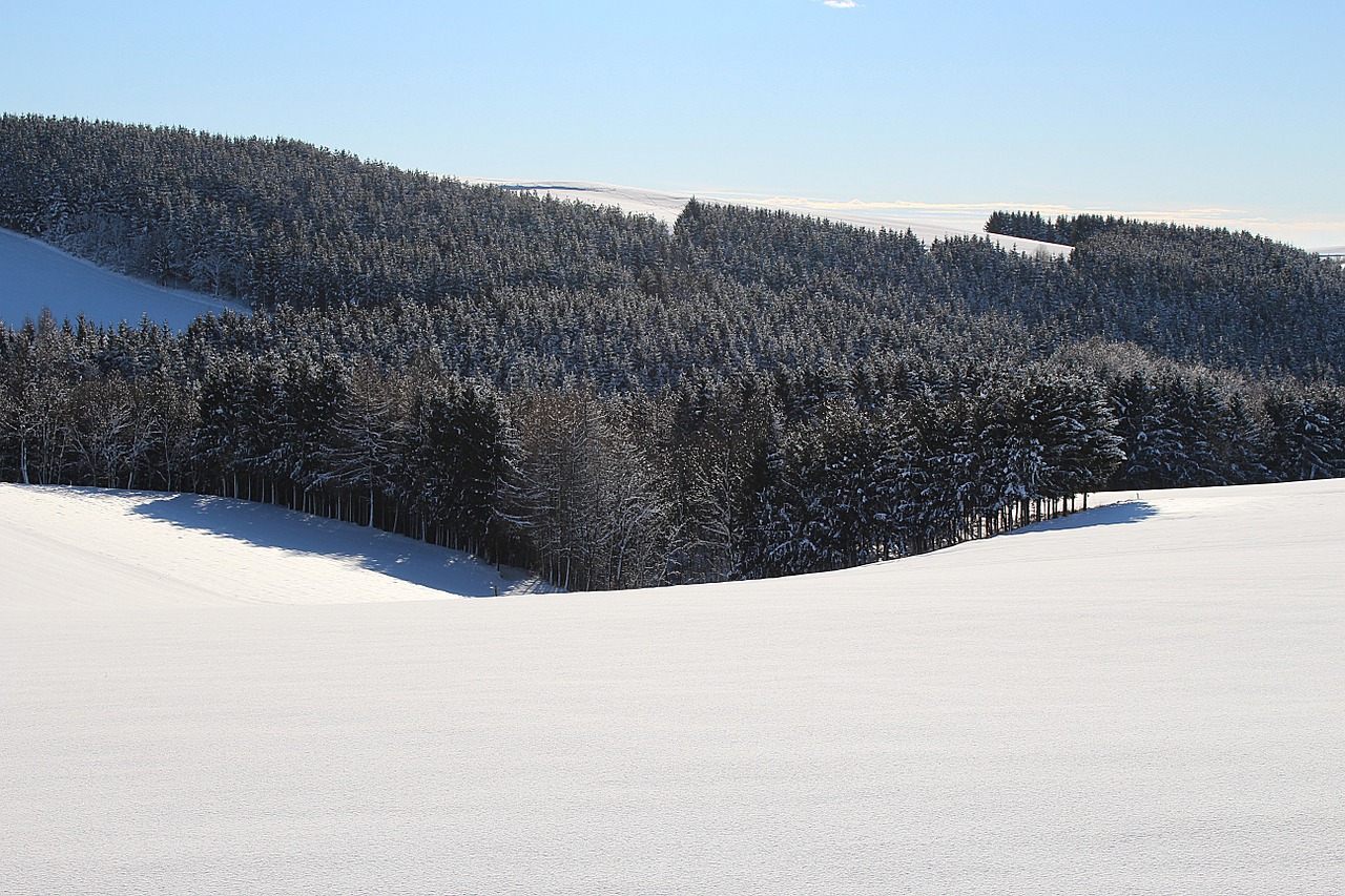 wintry winter mood snow landscape free photo