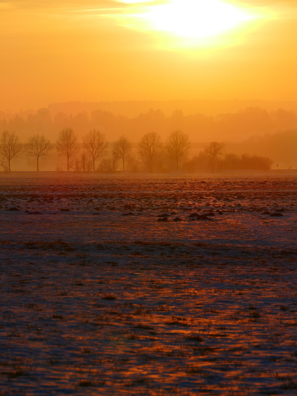 wintry sunset trees free photo