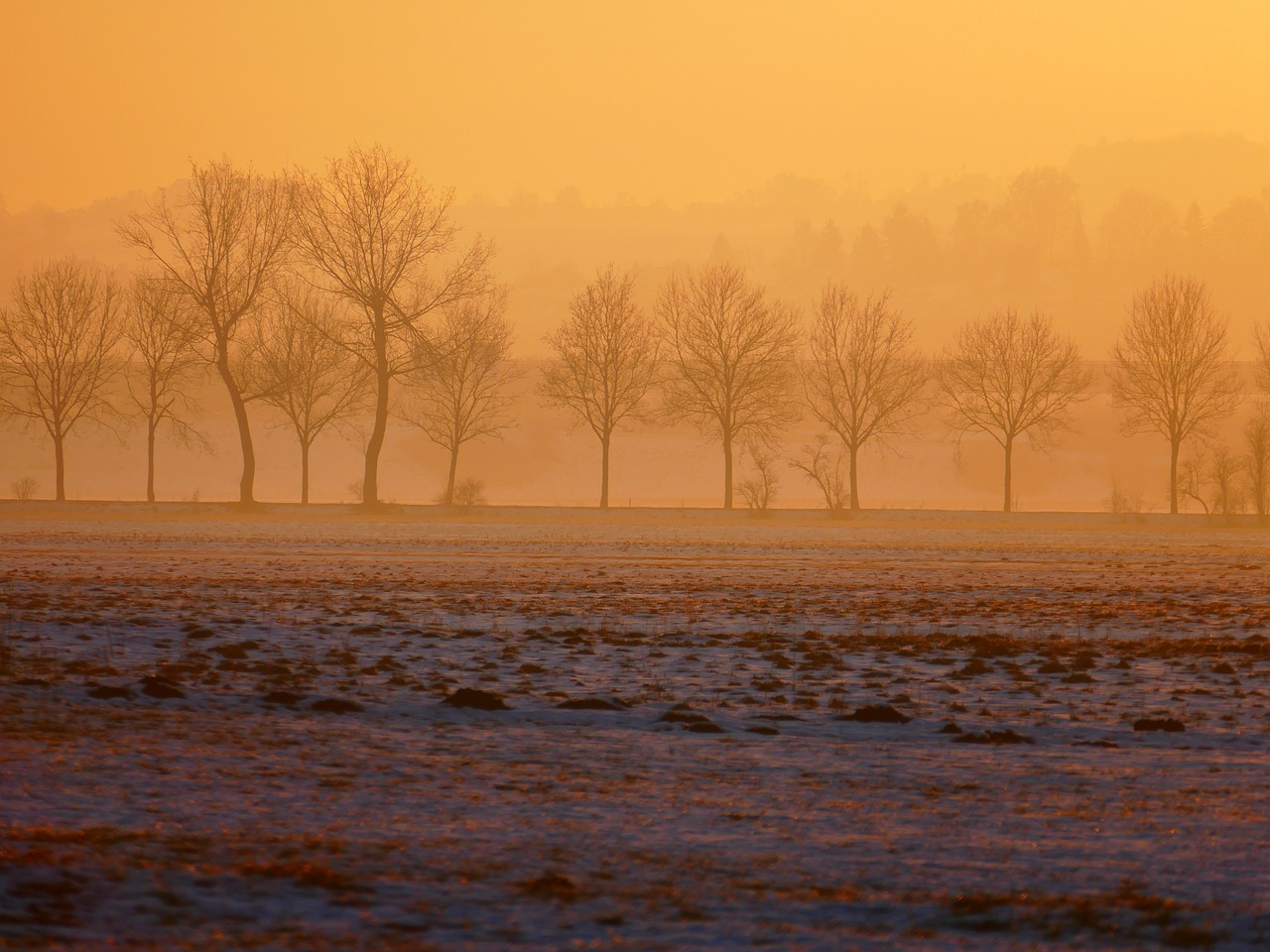 wintry sunset trees free photo