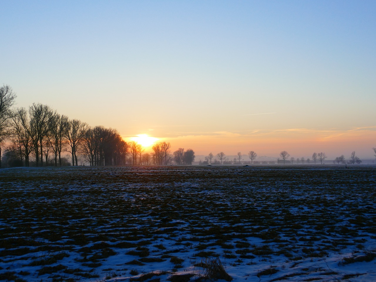 wintry sunset trees free photo