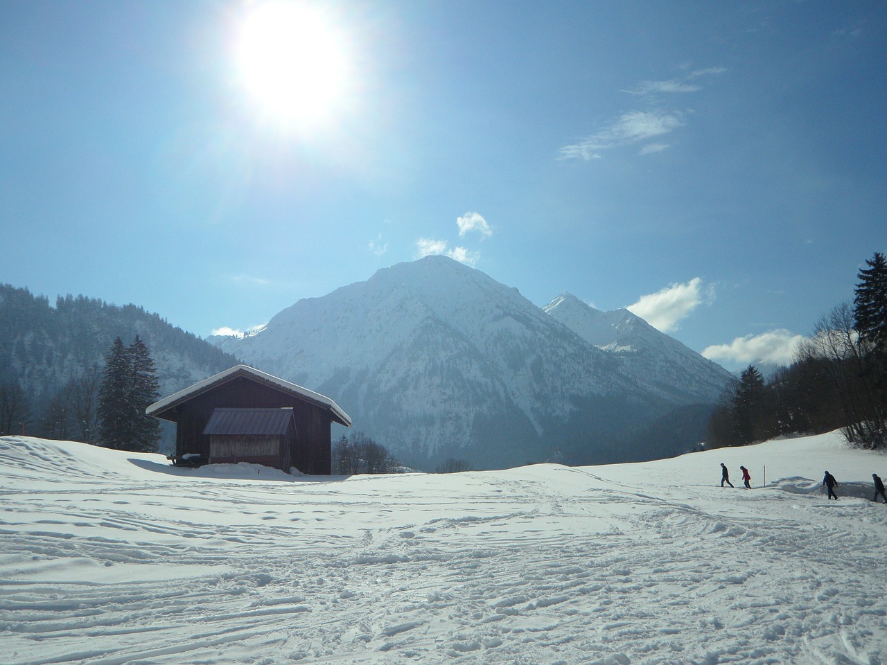 wintry back light winter free photo