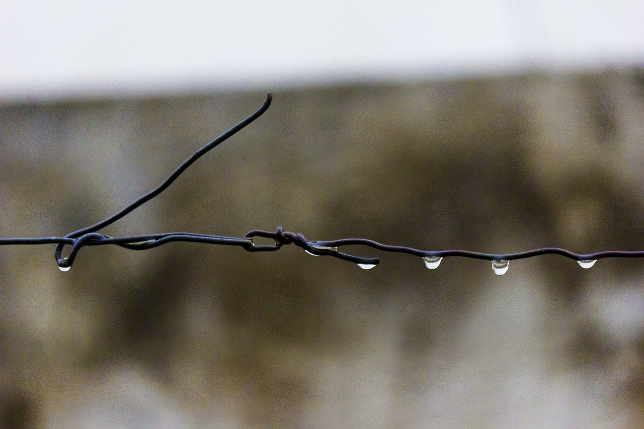 wire barbed rain free photo