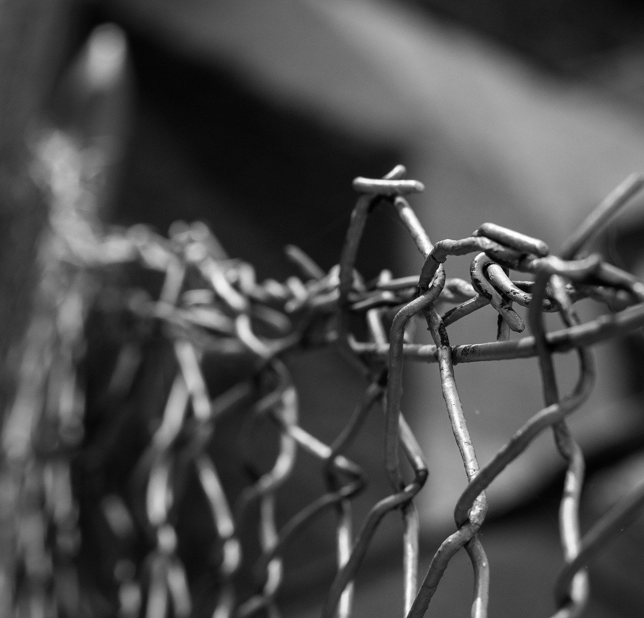 wires black and white fence free photo