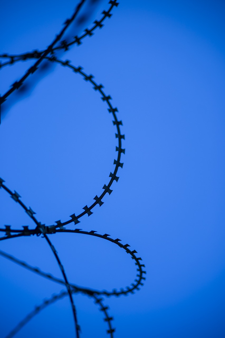 wire blue abstract free photo