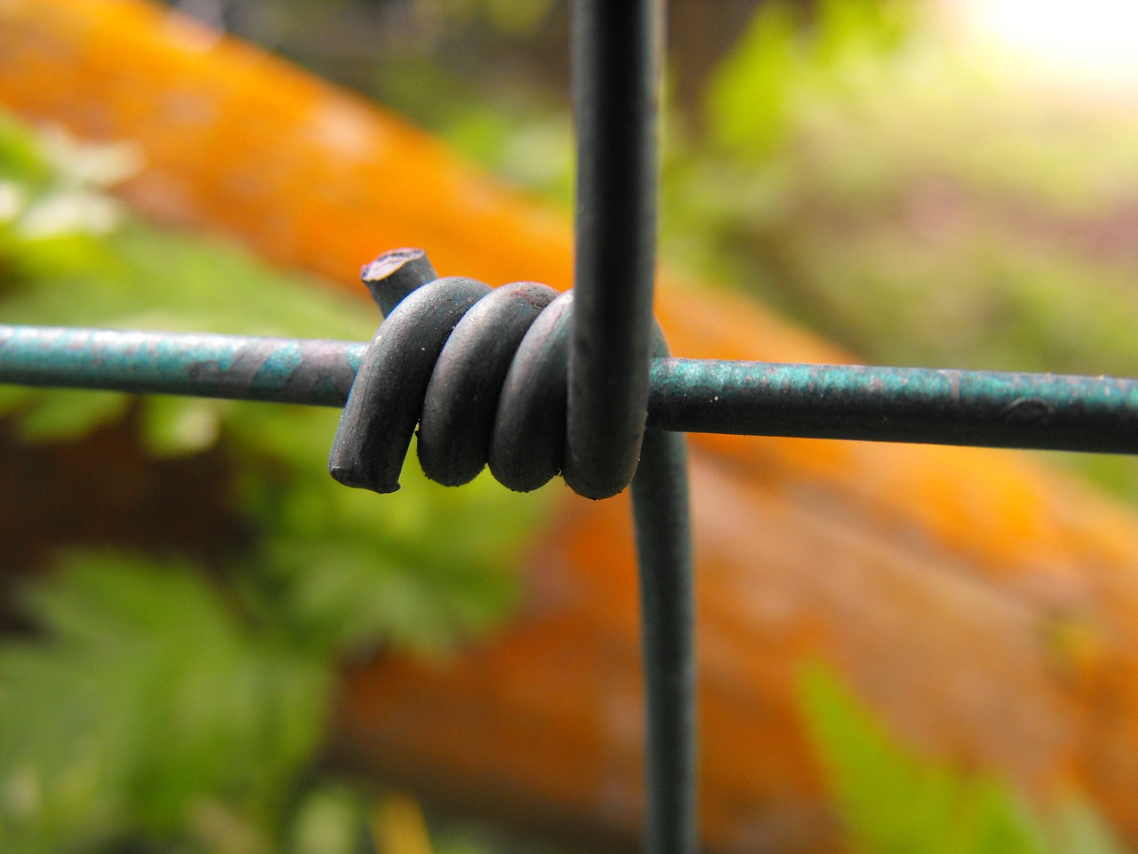 wire fence macro free photo