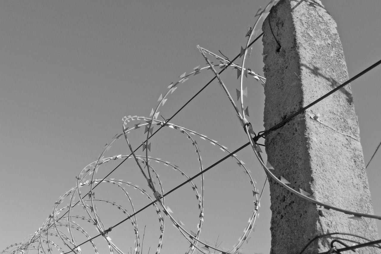 wire barbed wire freedom free photo