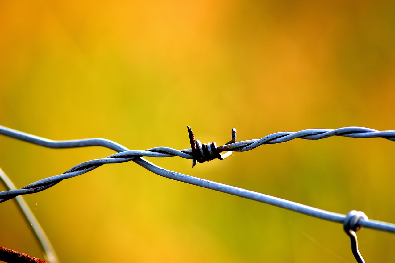 wire  fence  metal free photo