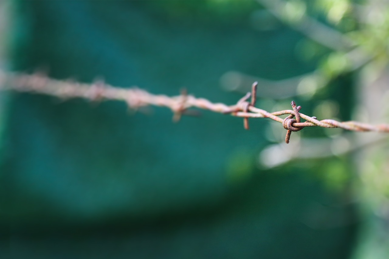 wire spur fence free photo