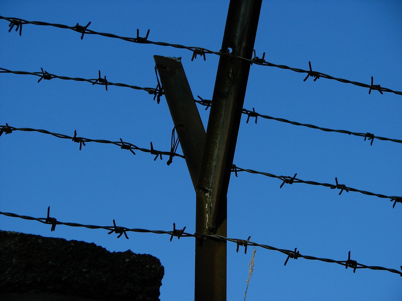 wire barbed wire fence free photo