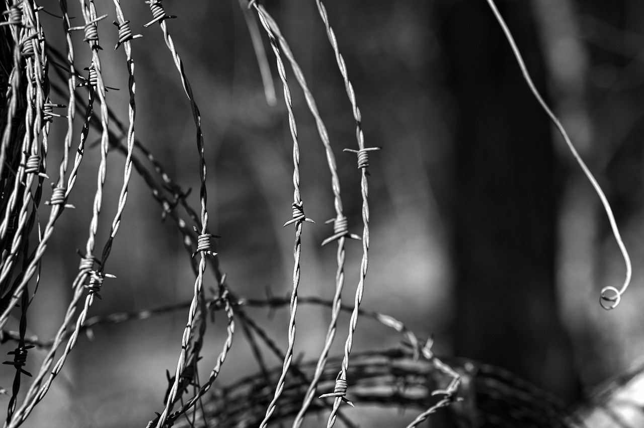 wire  barb  fence free photo