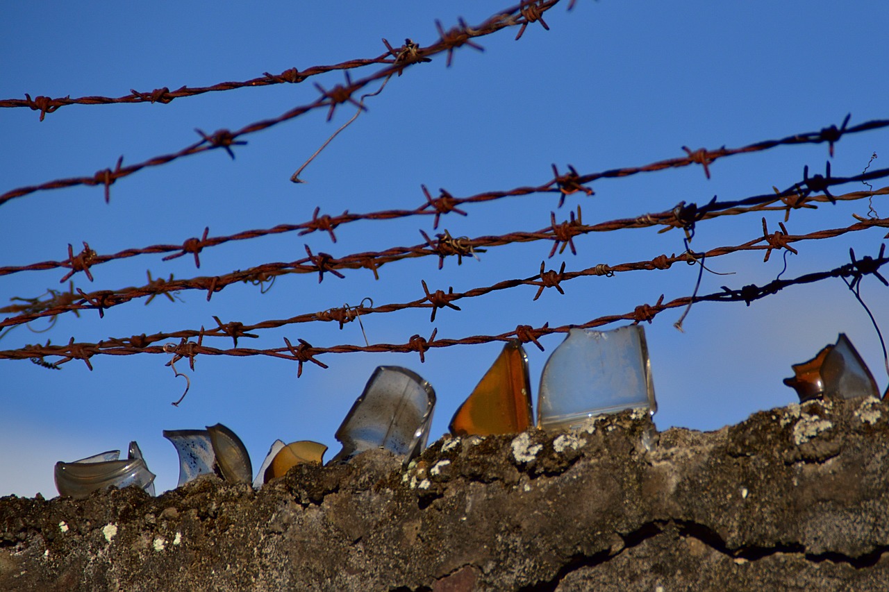 wire  security  fence free photo