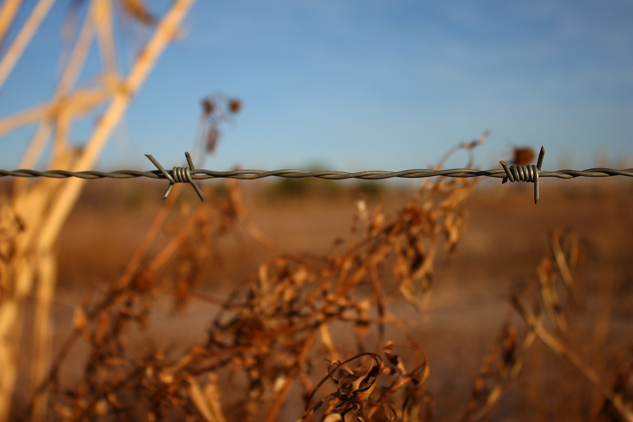 wire barbed wire field free photo