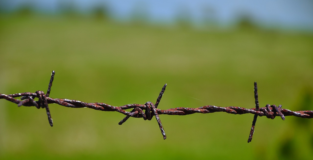 wire knitting landscape free photo