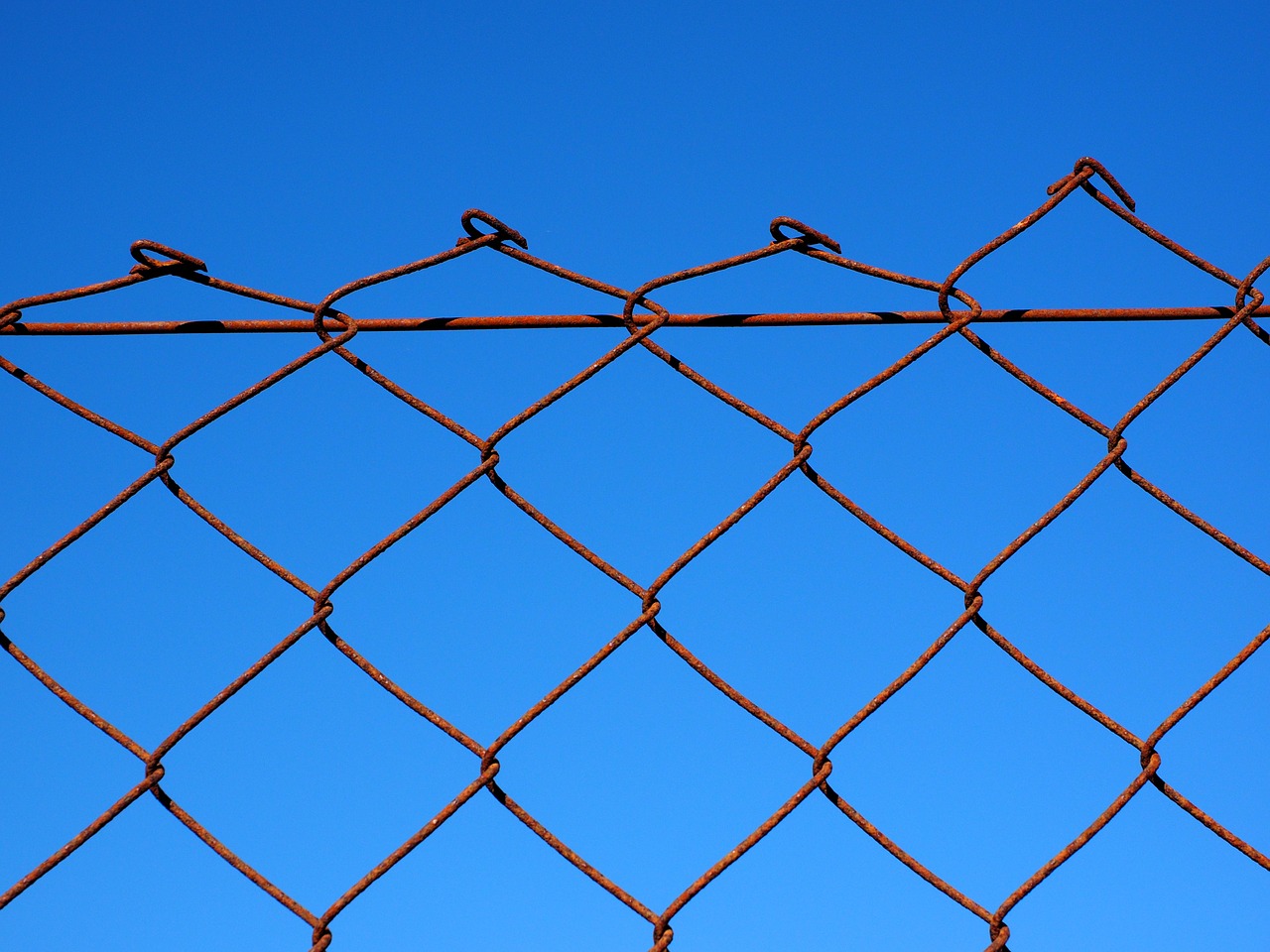 wire mesh wire mesh fence fence free photo