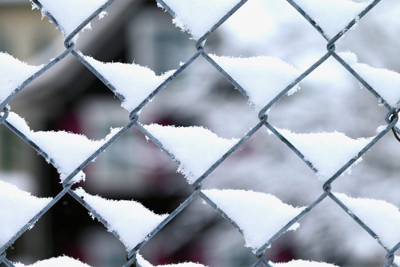 wire mesh snow winter free photo
