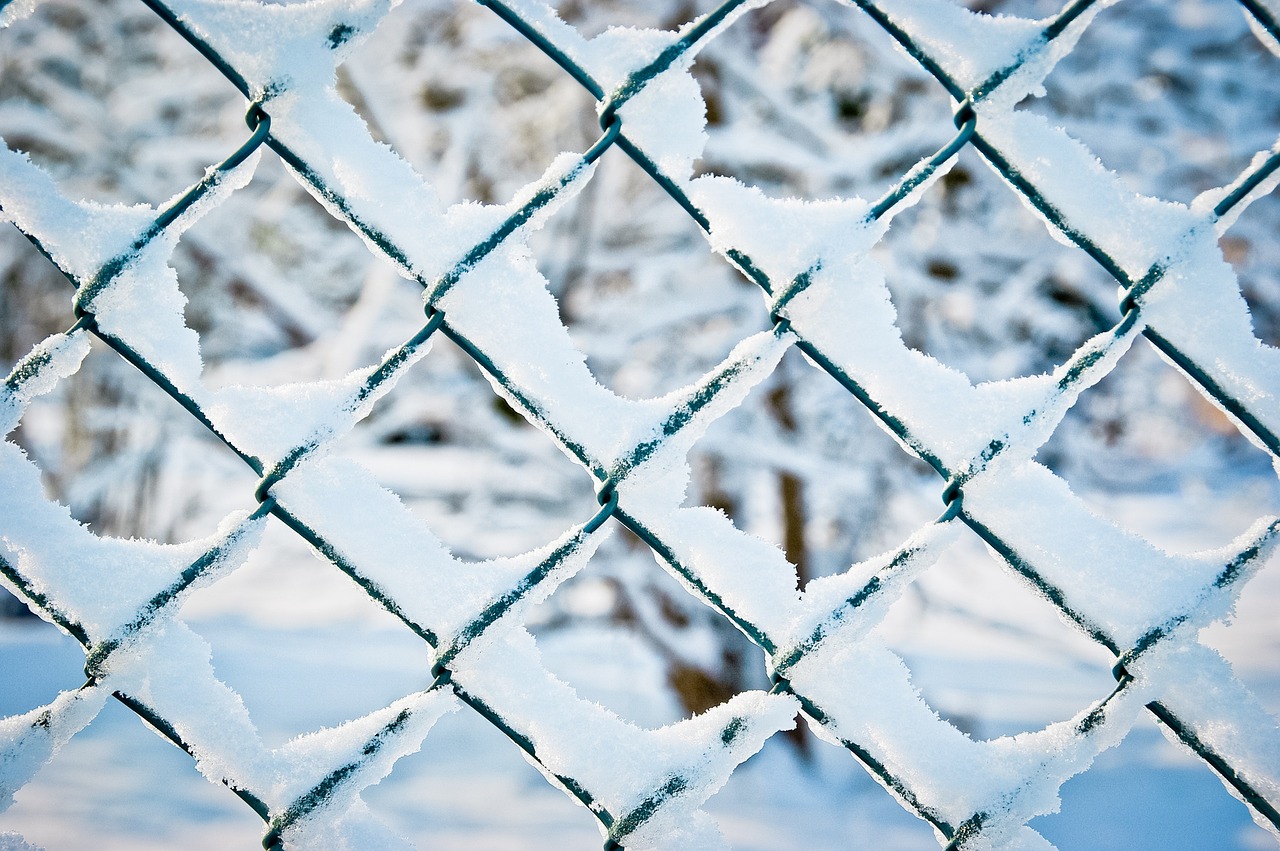 wire mesh fence fence snow free photo