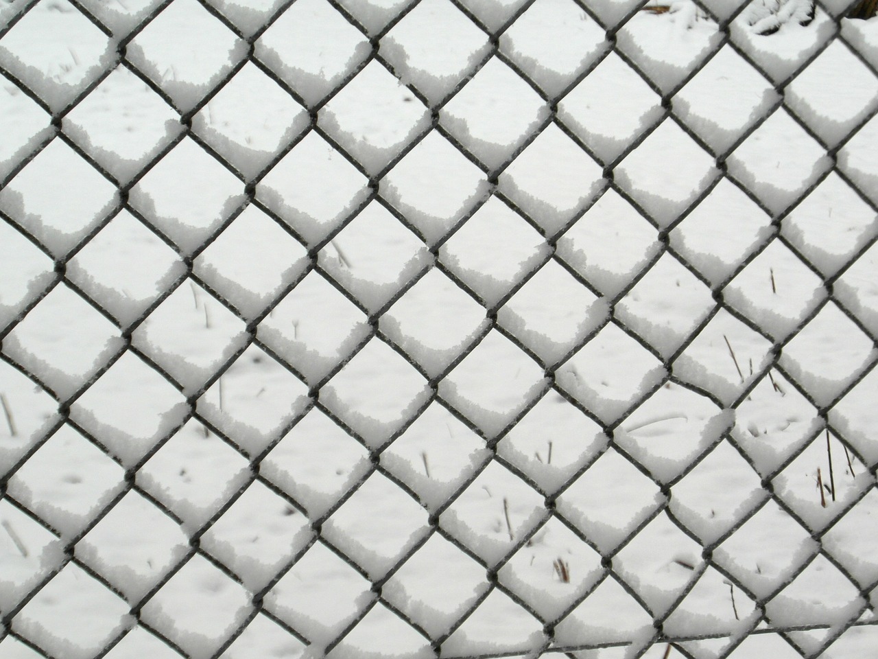wire mesh fence winter snow free photo