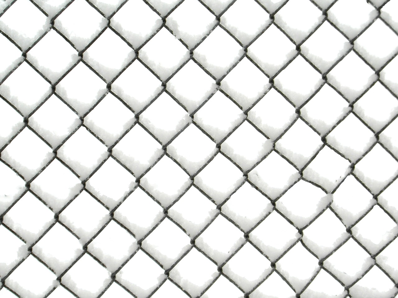 wire mesh fence snow wire mesh free photo