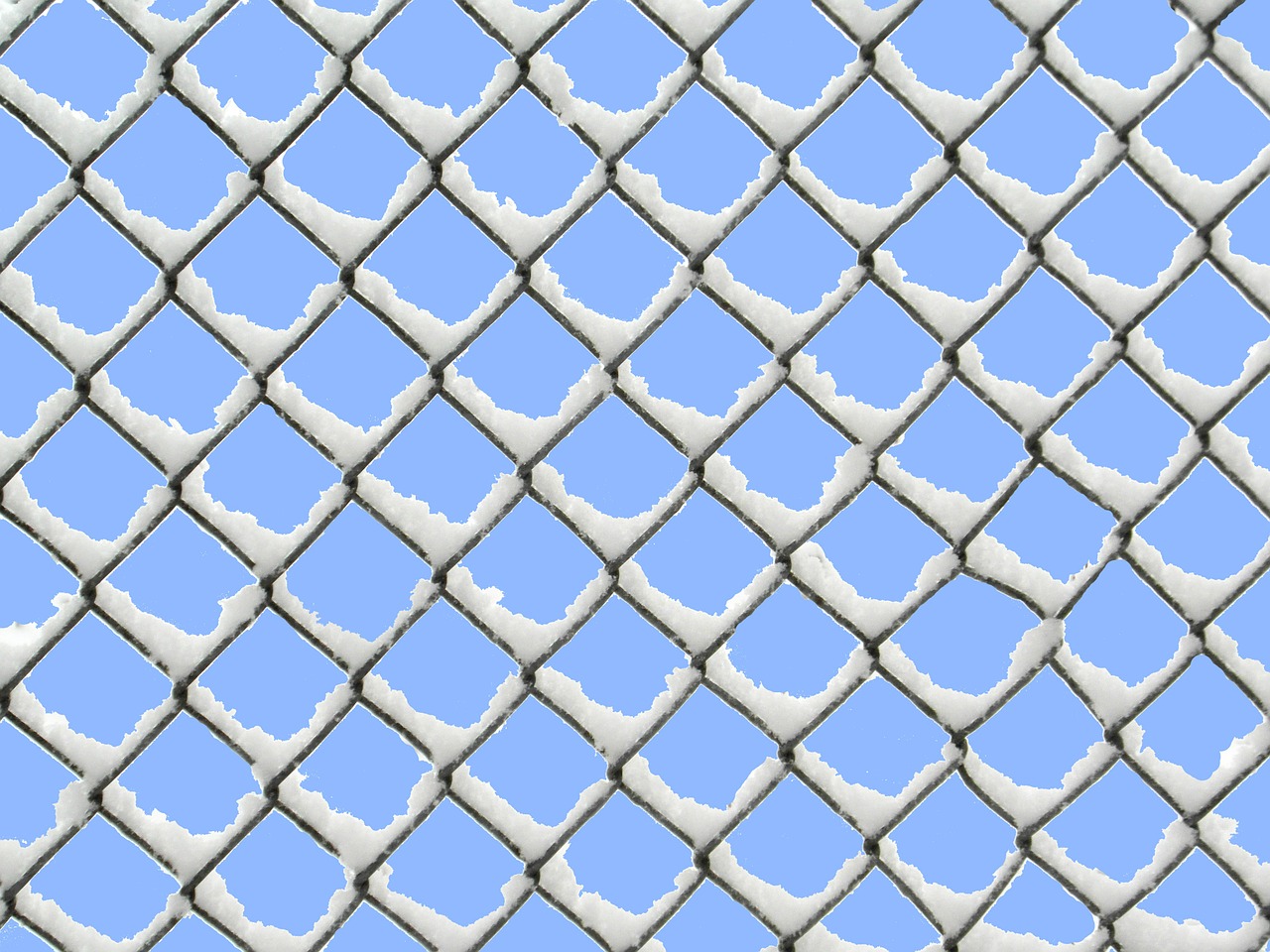 wire mesh fence snow wire mesh free photo