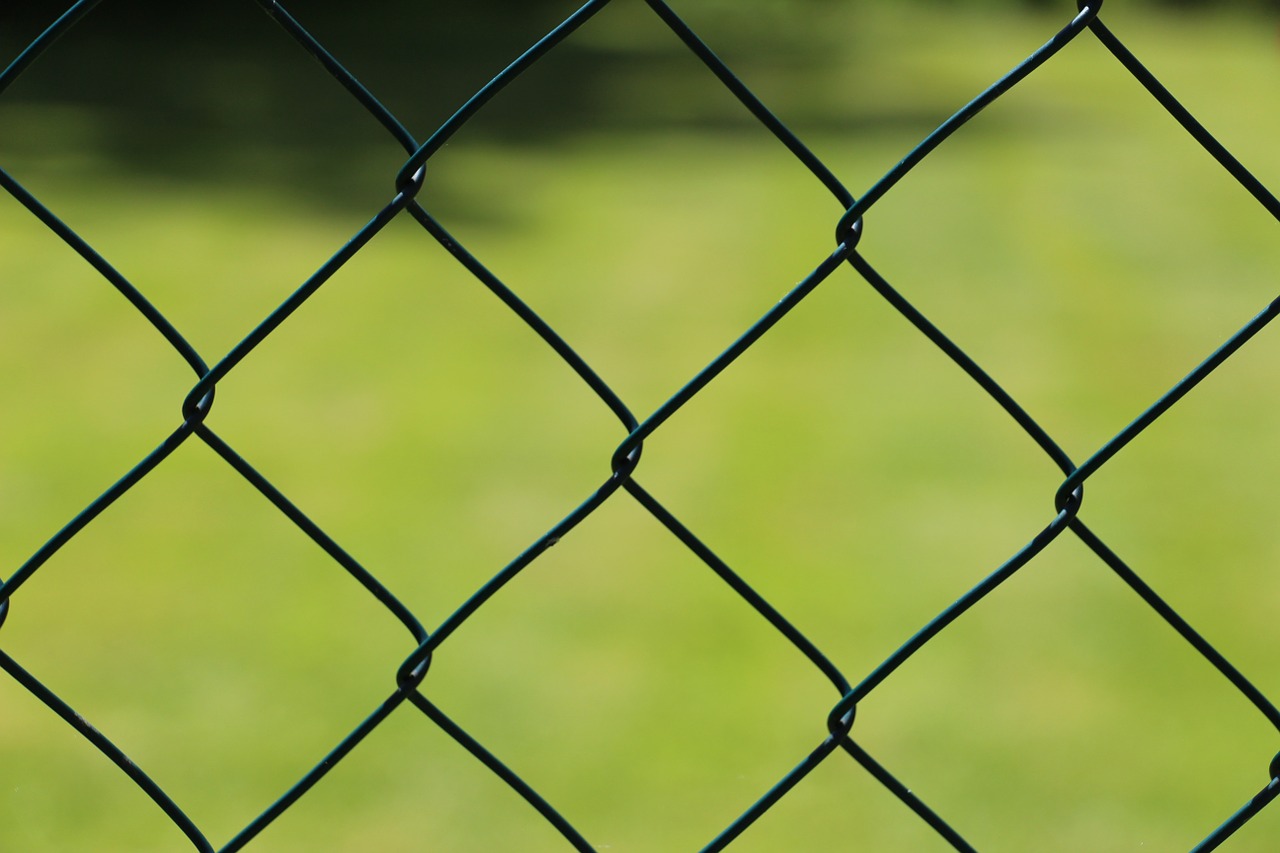 wire mesh fence fence wire free photo