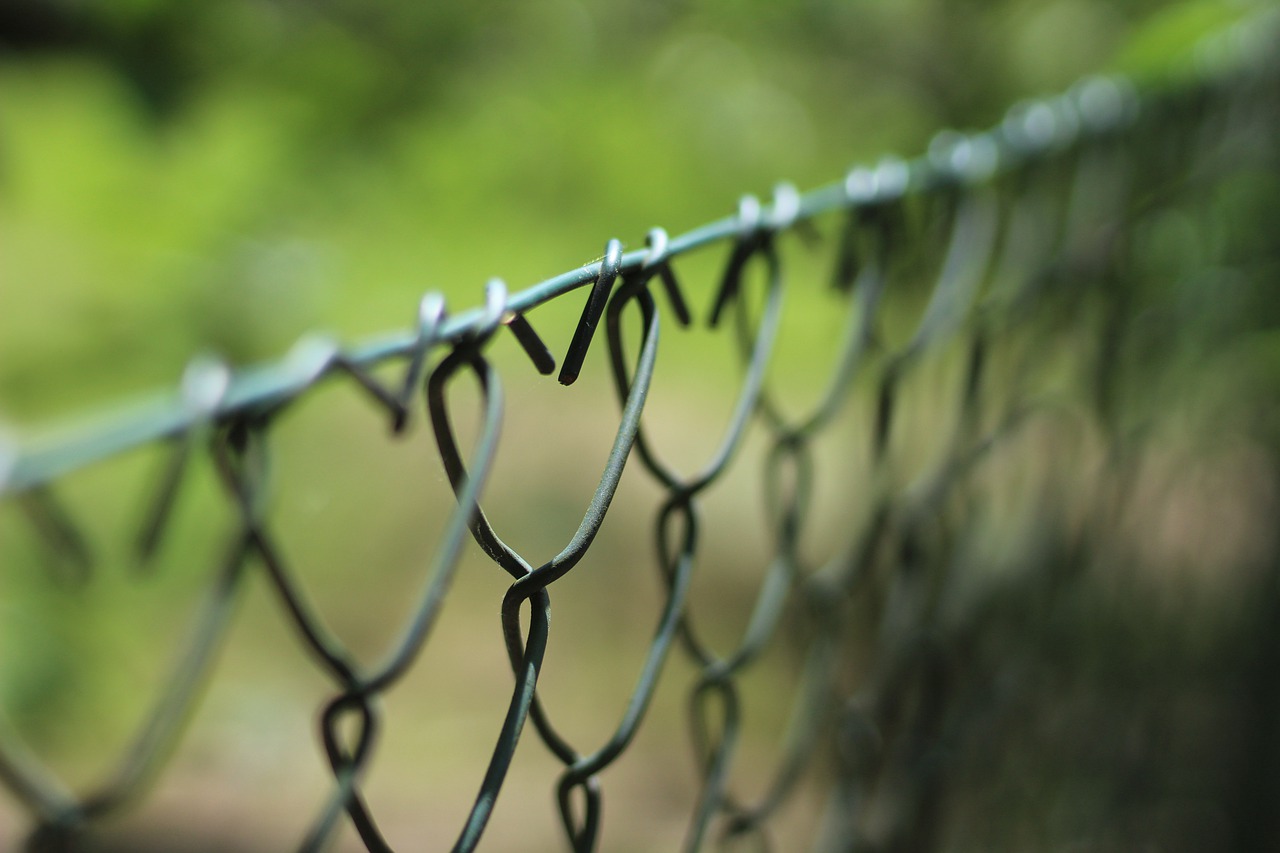 wire mesh fence  the fence  wire free photo