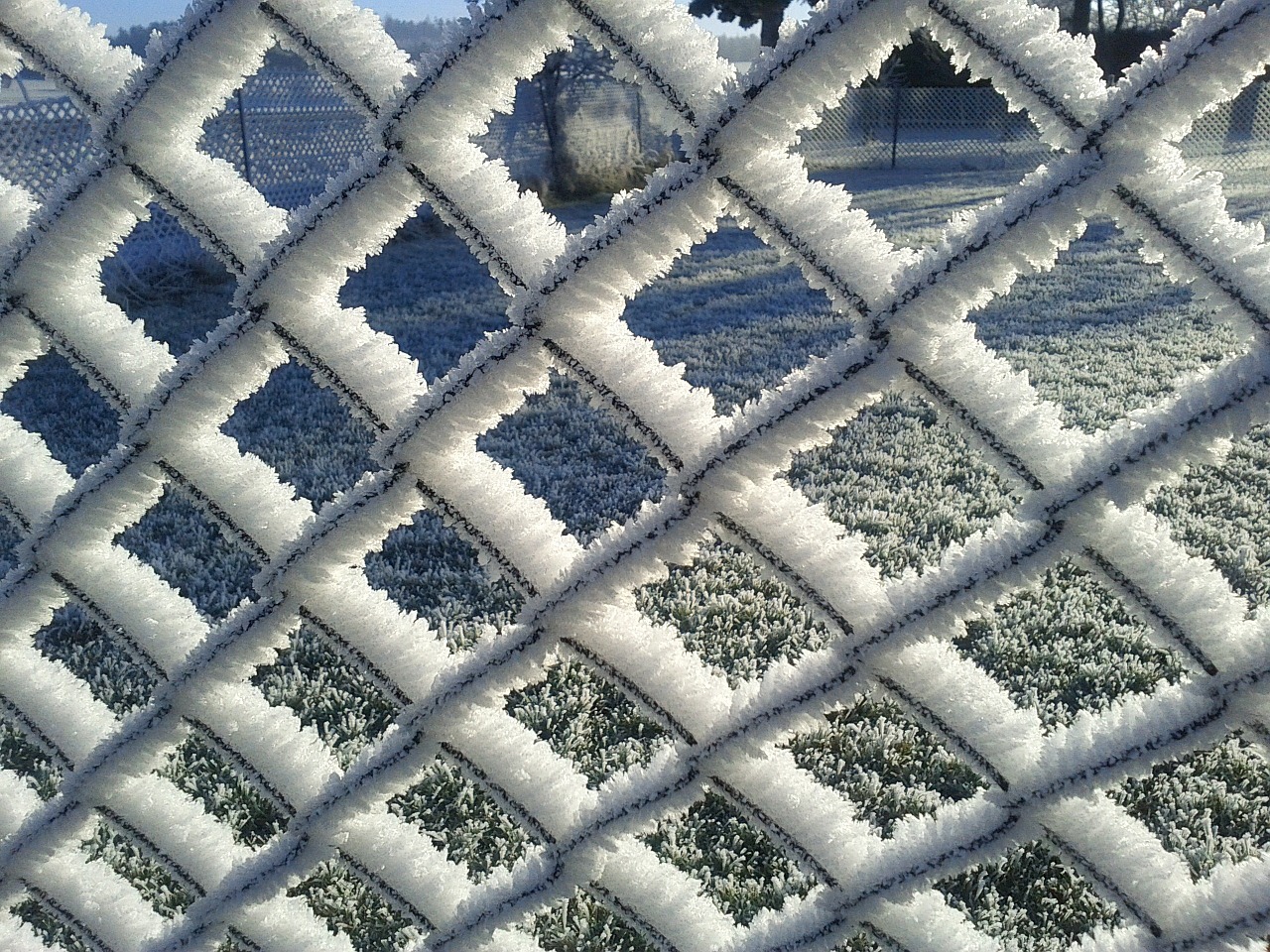 wire mesh fence frost ice free photo
