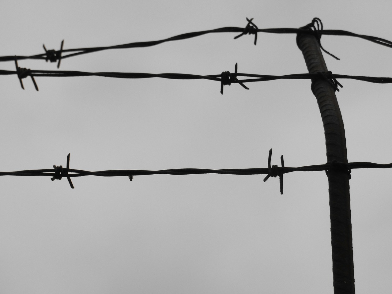 wires prison iron free photo