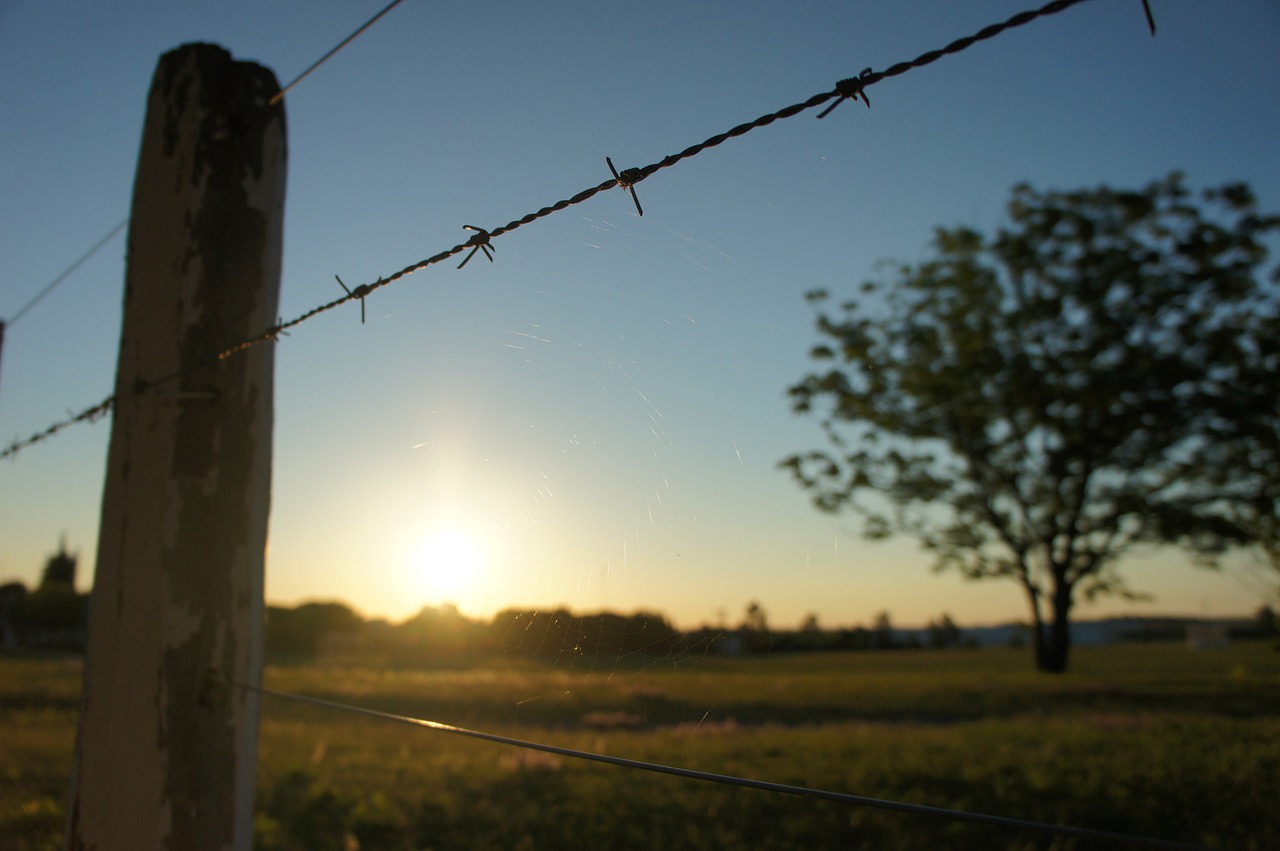 wiring fence barbed wire free photo