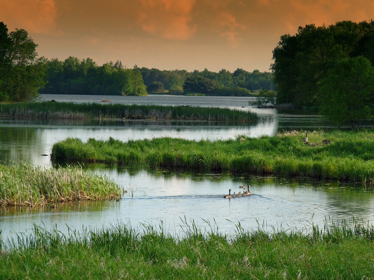 wisconsin landscape scenic free photo