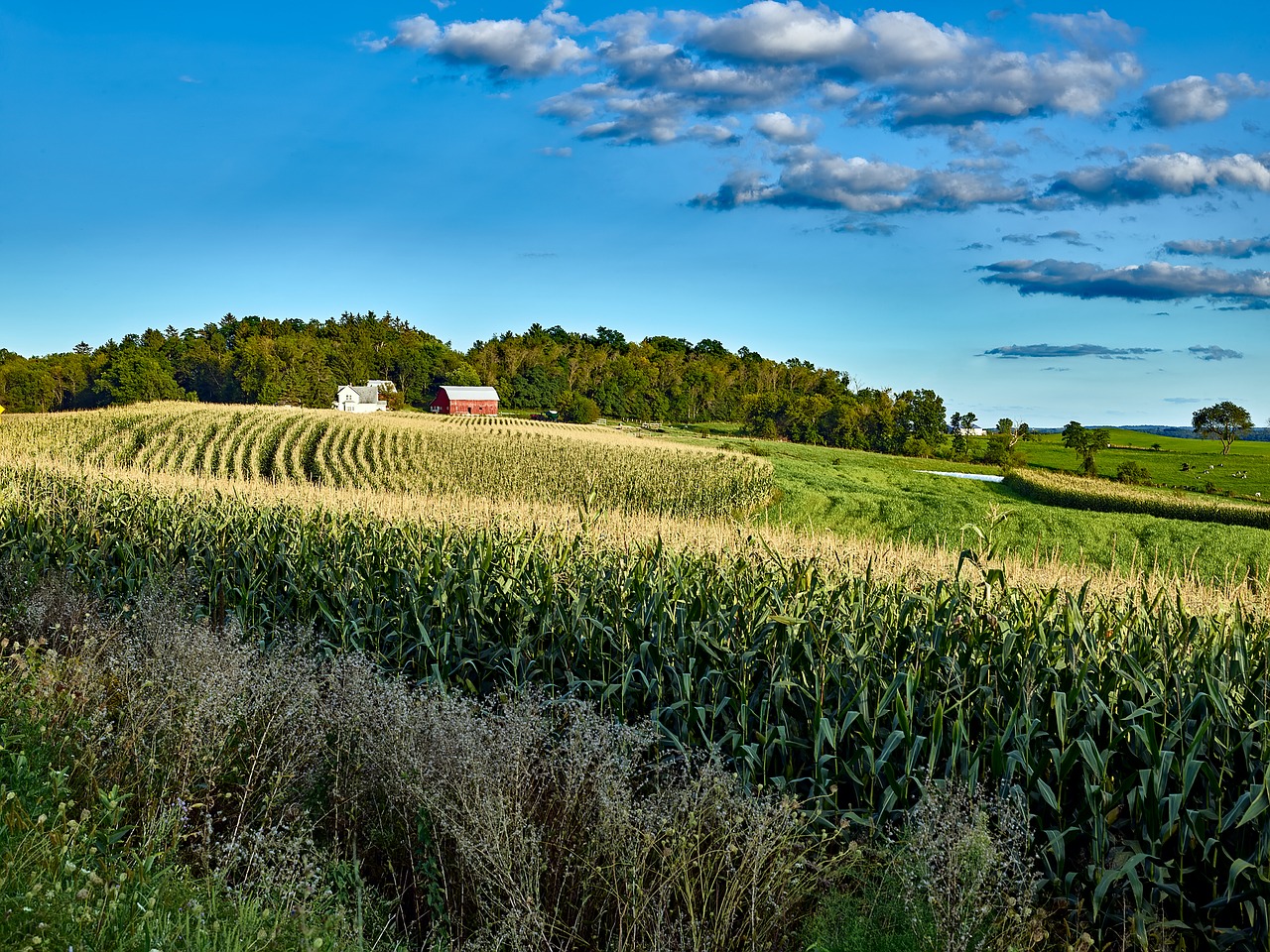 wisconsin landscape scenic free photo