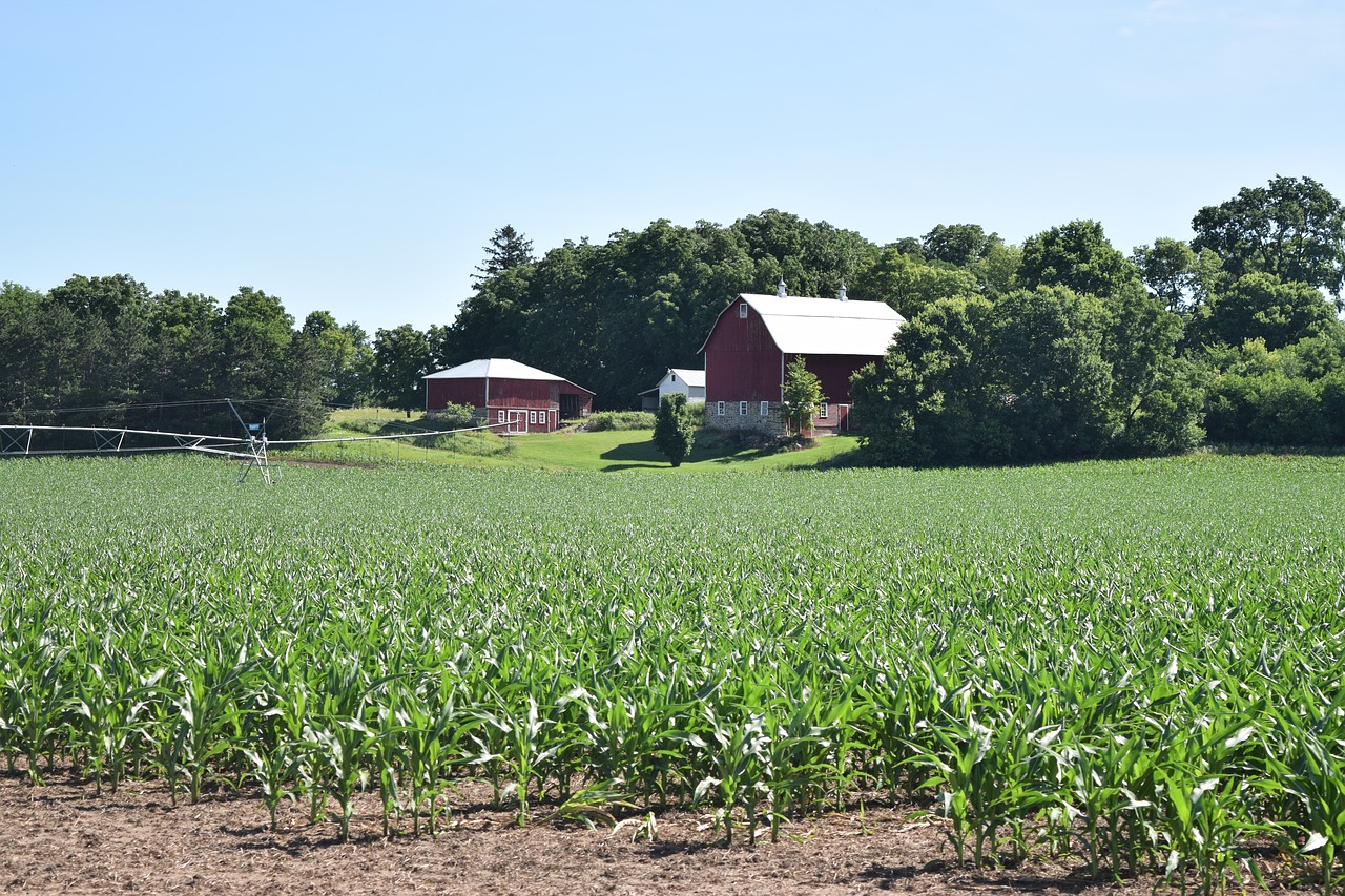 wisconsin  farm  barn free photo