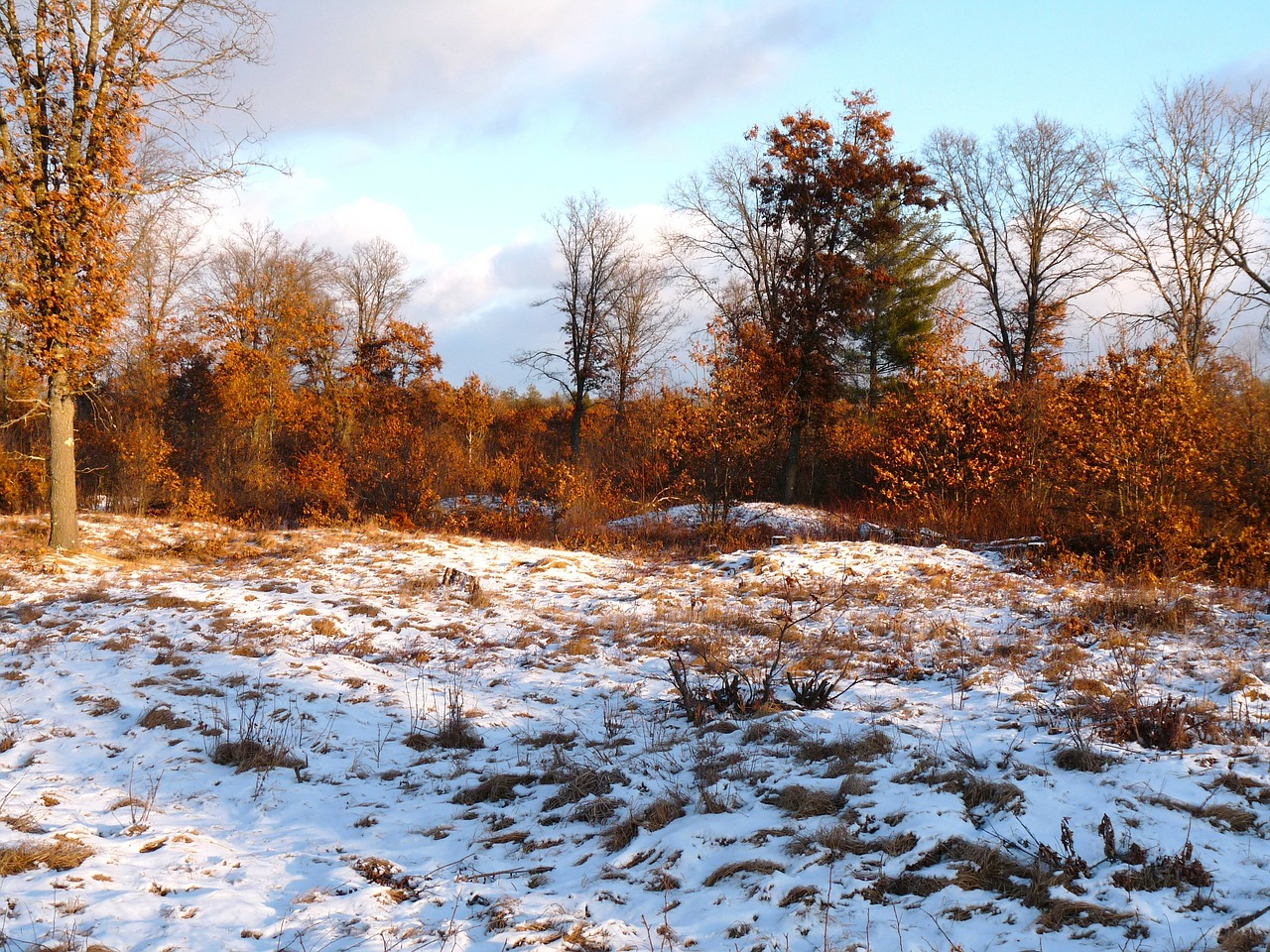 wisconsin nature outside free photo