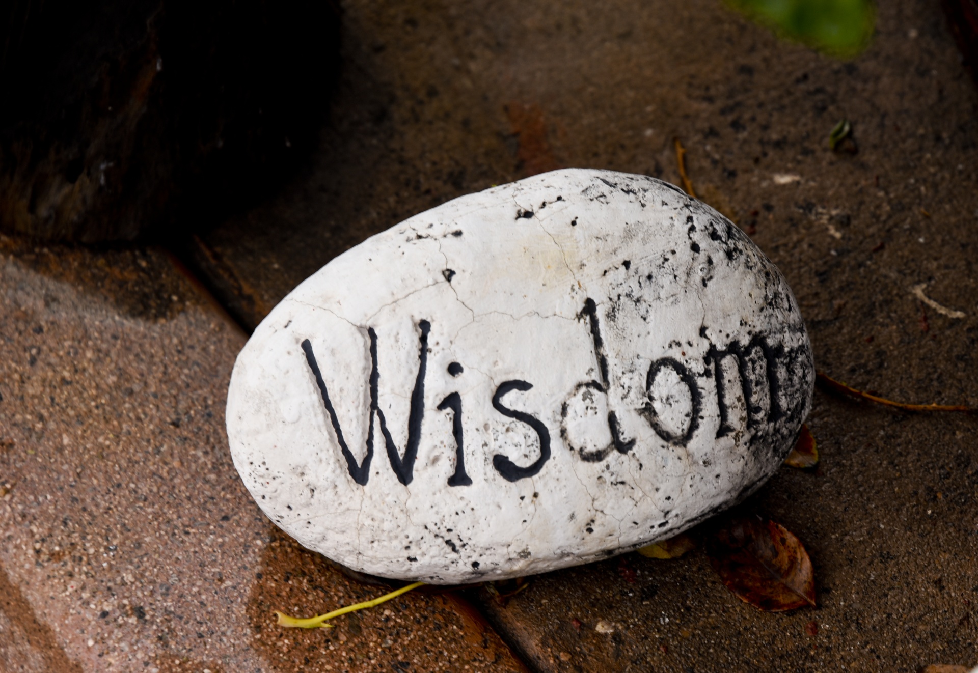 wisdom message rock free photo