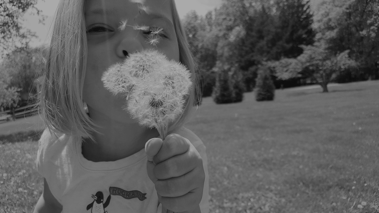 wish  dandelion  little girl free photo