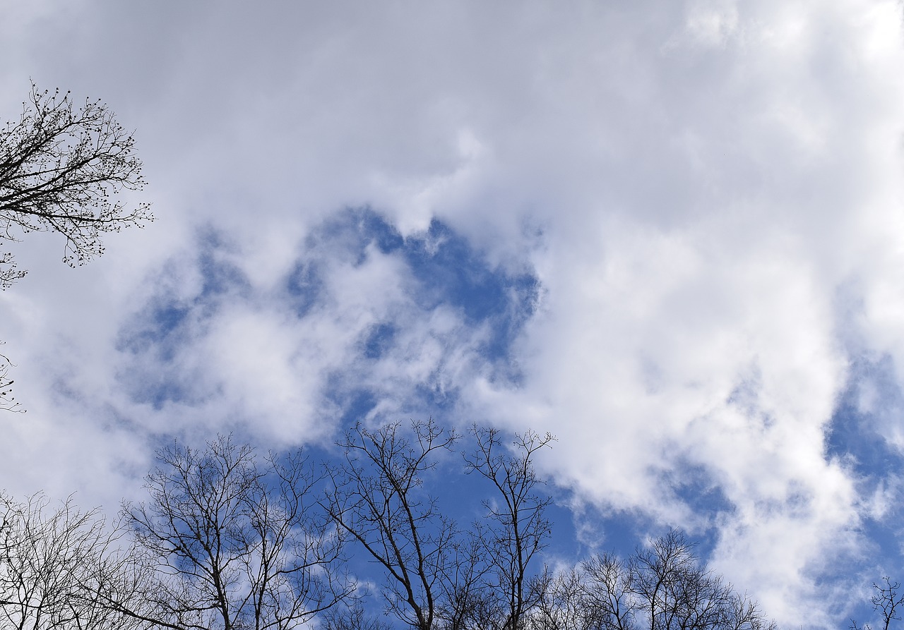 wispy clouds blue sky clouds free photo