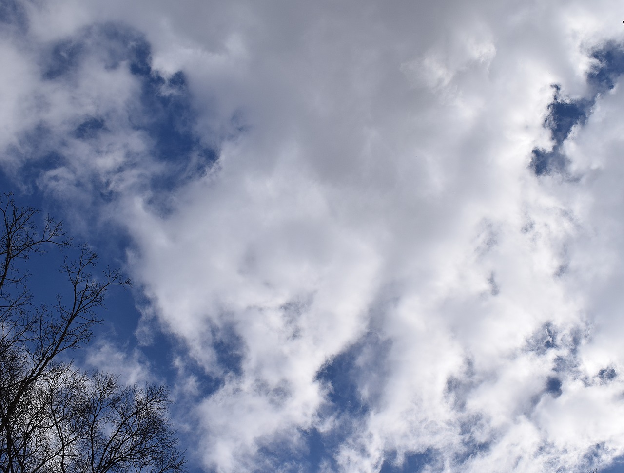 wispy clouds blue sky clouds free photo