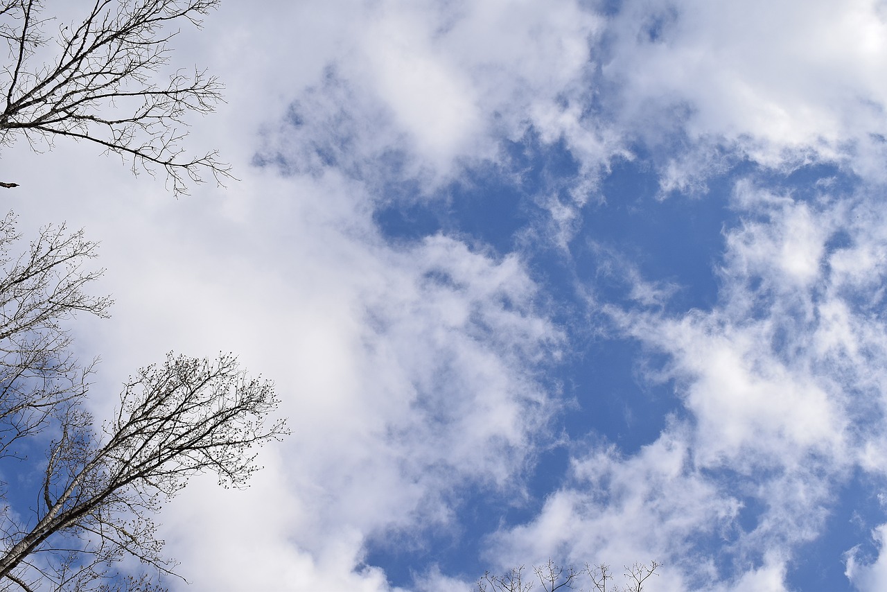 wispy clouds blue sky clouds free photo